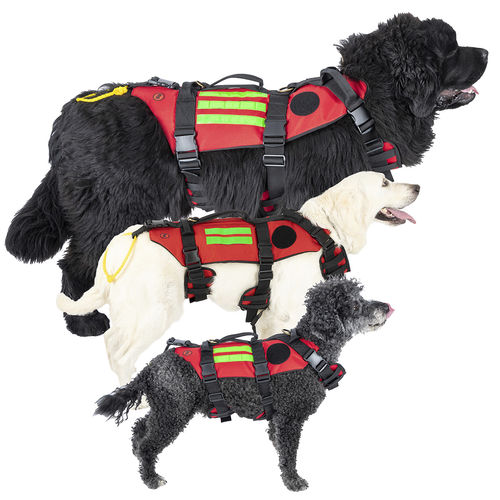 Tragegurt für Veterinärmedizin - EB03.003  - ELITE BAGS - für Hunde