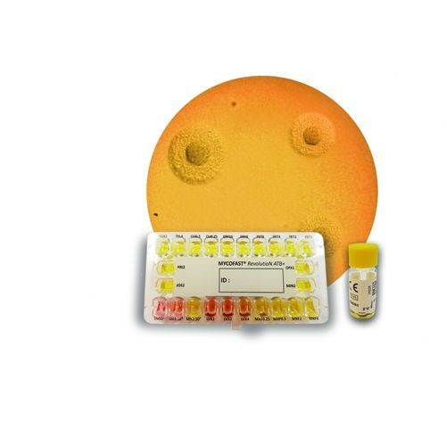 Testkit für antibiotischen Anfälligkeitstest - MYCOFAST® RevolutioN ATB+ - ELITech Group  - für Identifikationsanalyse / Mycoplasma / Ureaplasma urealyticum