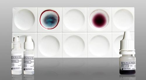 Schnelltest für Monukleose - ELITex Bicolor Mono - ELITech Group  - für Antikörper / Epstein-Barr-Virus / Blut