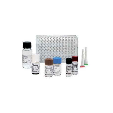 Testkit für Toxoplasmose - ELI.H.A Toxo - ELITech Group  - IgG / IgM / Toxoplasma gondii