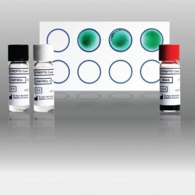 Testkit für Infektionskrankheiten - Strepto Color - ELITech Group  - Anti-Streptolysin O / Serum / Labor