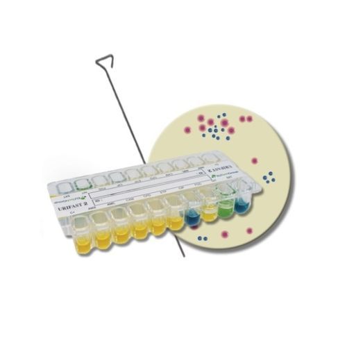 Schnelltest für antibiotischen Anfälligkeitstest - URIFAST® 2 - ELITech Group  - Enterobakterien / für Kliniken / Labor