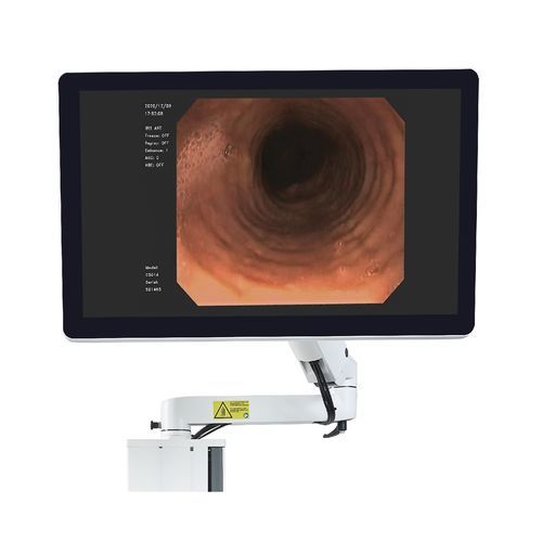 Monitor für Endoskopie - EndoMed Systems