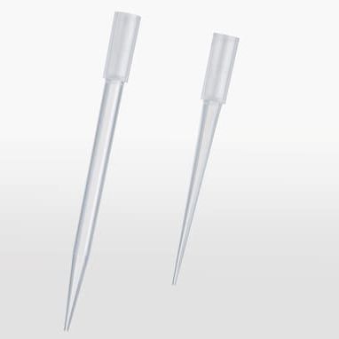 Pipettenspitze - epT.I.P.S.® 384 - Eppendorf SE