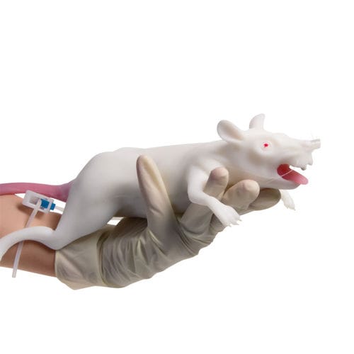 Trainingspuppe für die Tierforschung -  VET4200 - Erler-Zimmer - für Blutabnahmen / für Intubation / Nagetiere