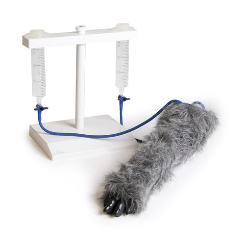 Injektionssimulator für intravenöse Injektionen - VET4610 - Erler-Zimmer - für Veterinärmedizin / Hund / Hand
