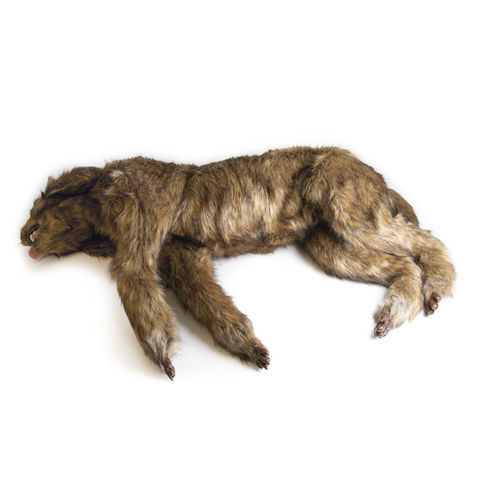 Chirurgie-Trainingspuppe - VET4630 - Erler-Zimmer - für Veterinärmedizin / für Vorführzwecke / von Hund
