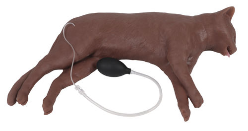 Trainingspuppe für Veterinärmedizin - VET4880 - Erler-Zimmer - für CPR / Katzen / Brust