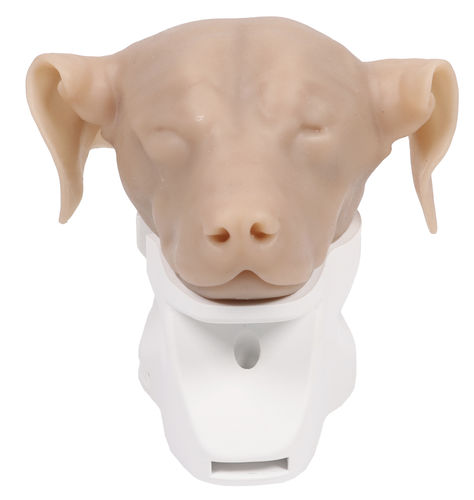 Trainingssimulator - VET4670 - Erler-Zimmer - für Otoskopie / für Veterinärmedizin / von Hund