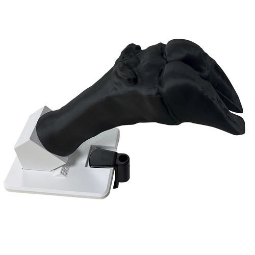 Verband-Simulator - VET4900 - Erler-Zimmer - Ausbildung / für Veterinärmedizin / Rinder