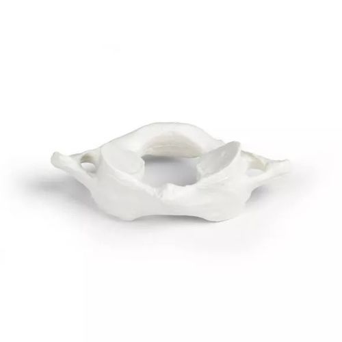 Anatomisches Modell / Wirbel - 3062 - Erler-Zimmer - Erwachsene / männlich / weiß