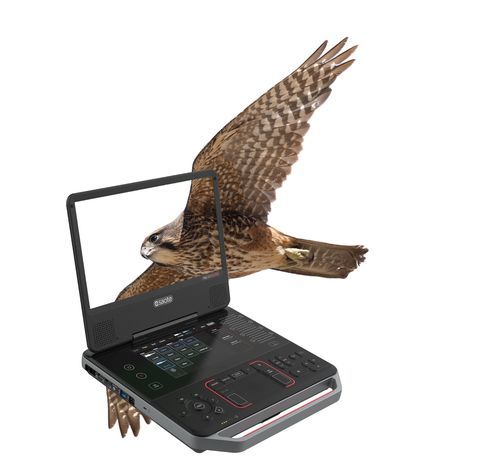 Tragbares Tierärztliches Ultraschallsystem - MyLab™Falcon - Esaote - Multifunktion / für Kleintiere / für Großtiere