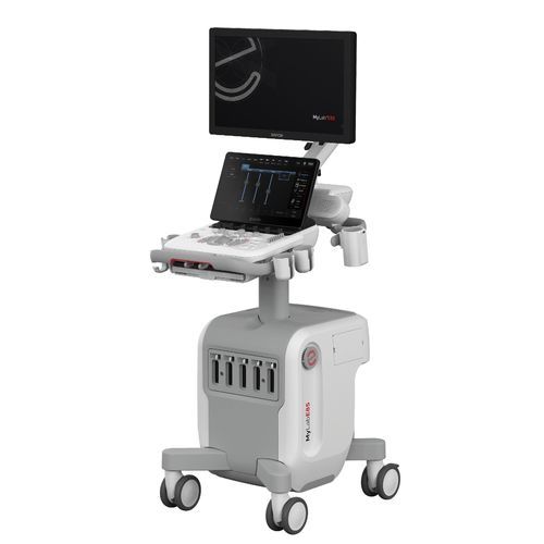 Plattformmontiertes Ultraschallgerät - MyLab™E85 - Esaote - für Multifunktions-Ultraschall / für Ultraschalldiagnostik in Gynäkologie und Geburtshilfe / für Kardiologie