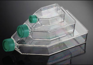 Zellkultur-Phiole - Primo® - EuroClone - Polystyrol / Polyethylen / Kunststoff