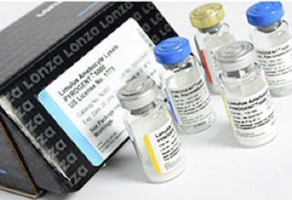 Koagulations-Testkit - LAL - EuroClone - für Mikrobiologie / für Endotoxine / Bakterien