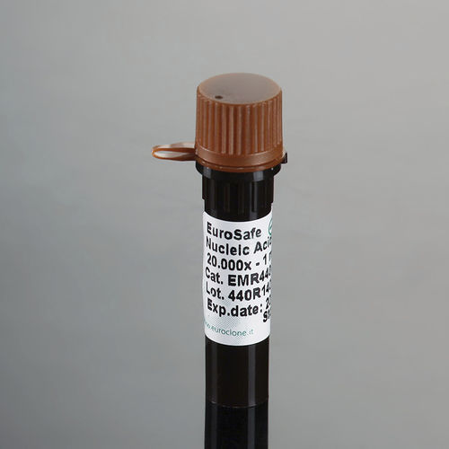 Farbstoff Reagenz - EuroSafe - EuroClone - für Elektrophorese / Nukleinsäure / flüssig