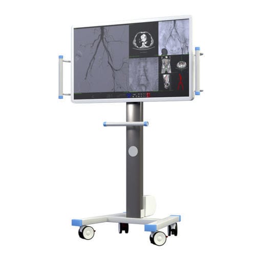 Monitor für medizinische Bildgebung - Eurocolumbus - 4K / 55" / tragbar