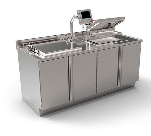 Vorreinigungsstation für die Medizinische Industrie - Famos - mit Ultraschallreiniger / mit Waschbecken / Edelstahl
