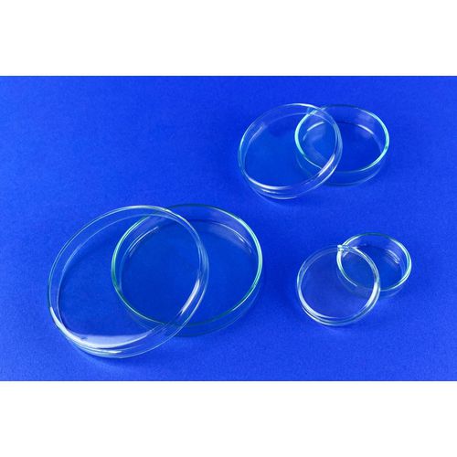 Glas-Petrischale - 41042 series - Glaswarenfabrik Karl Hecht - 60 mm / 100mm / 90 mm