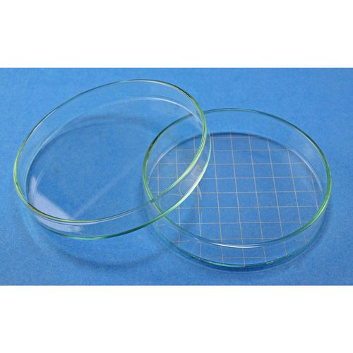 Glas-Petrischale - 41044   - Glaswarenfabrik Karl Hecht - Netzteilung