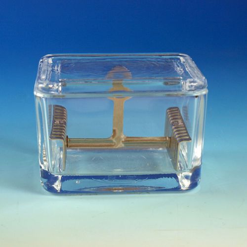 Glas-Färbetrog - 41205 series - Glaswarenfabrik Karl Hecht - mit Sockel