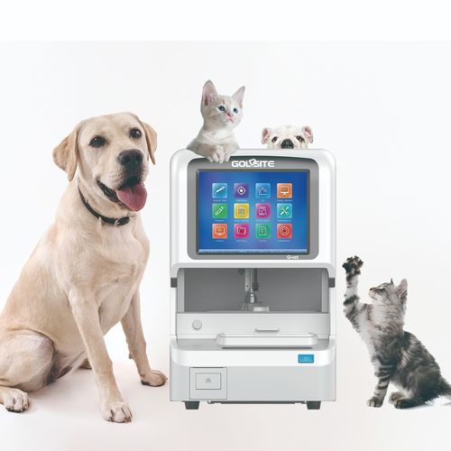 Automatisches biochemisches Analysegerät - Q-Vet - Goldsite Diagnostics Inc. - für Veterinärmedizin / Tisch / mit Elektrolytanalysator