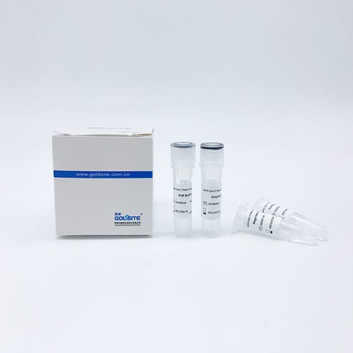 Pufferlösungs-Reagenzkit - Goldsite Diagnostics Inc. - DNA-Polymerase / umgekehrte Transkriptase / Nukleinsäure