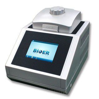 Thermocycler mit Gradient - Life ECO - Hangzhou Bioer Techonology   - 96 Well / mit Touchscreen / mit USB-Anschluss
