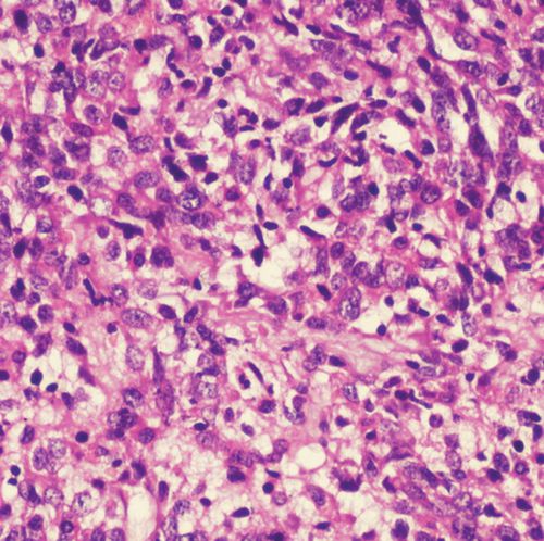 Färbelösungs-Reagenz - 01HEMM1000 - Histo-Line Laboratories - Farbstoff / für die Histologie / flüssig