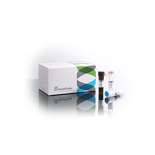Testkit für Rheumakrankheiten - GeneFinder™ - OSANG Healthcare - HLA-B27 / Vollblut / für Echtzeit-PCR