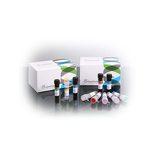 Testkit für Infektionskrankheiten - GeneFinder™  - OSANG Healthcare - Gebärmutterhalskrebs / Onkologie / HPV