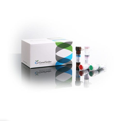 Tuberkulose-Testkit - GeneFinder™  - OSANG Healthcare - Mycobacterium tuberculosis-Komplex / Mycobacterium tuberculosis / Mykobakterien