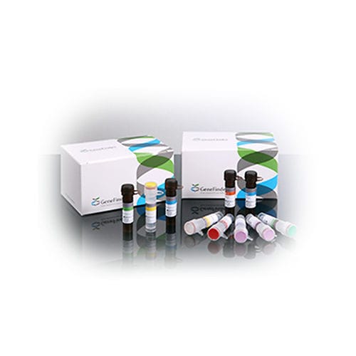 Testkit für Infektionskrankheiten - GeneFinder™ - OSANG Healthcare - für papillomavirus humanis / Vaginalsekret / für PCR