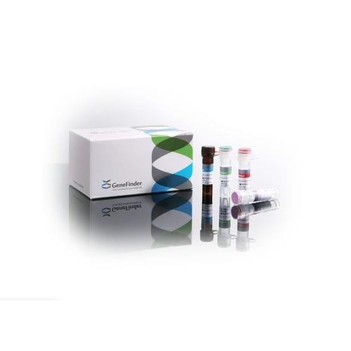 Testkit für STD - GeneFinder™  - OSANG Healthcare - Ureaplasma urealyticum / Chlamydia trachomatis / Blut