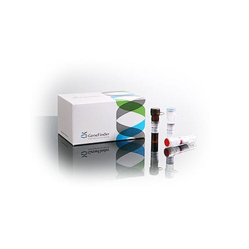 Testkit für Entzündungskrankheiten - GeneFinder™ - OSANG Healthcare - für HLA-B-Gen / Vollblut / Umwelt