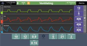 Analysesoftware - RespiSim® - IngMar Medical - Test / Ausbildung / Modellierung
