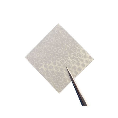 Matrix / wiederherstellende Chirurgie - AmnioExcel® Plus - Integra LifeSciences - allograft