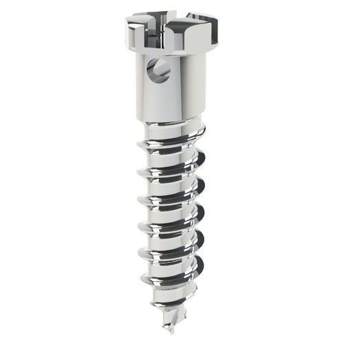 Mini-Implantat / Titan - DualTop - G1  - Jeil Medical Corporation - Schrauben / zur kieferorthopädischen Verankerung / selbstschneidend