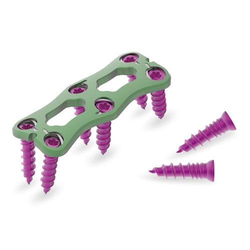HWS-Arthrodeseplatte - Flex Wing - Jeil Medical Corporation - mit Verriegelung / Titan / 2 Ebenen