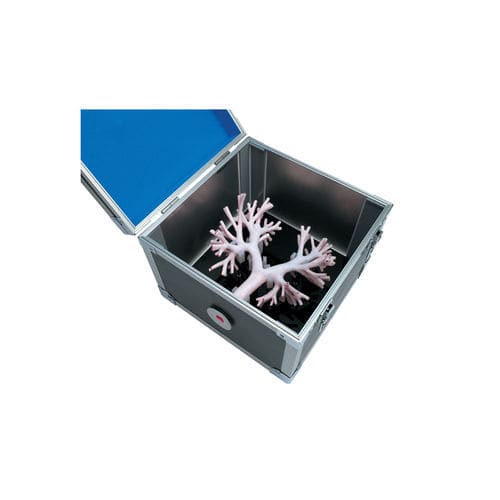 Anatomisches Lungenmodell - LM-092 - KOKEN 