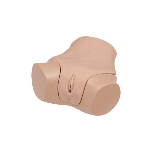 Trainingssimulator - LM-110 - KOKEN  - für rektale Palpation / Gynäkologie / Frau