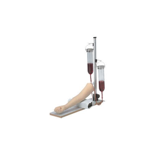 Anatomisches Modell / Arm - LM-028 - KOKEN  - Blutgefäße / für Injektionen / Silikon