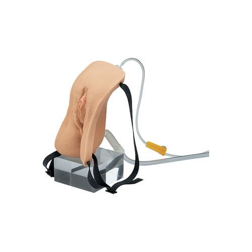 Injektionssimulator - LM-025 - KOKEN  - für Katheterisierung / zur Entwässerung / für Allgemeinpflege