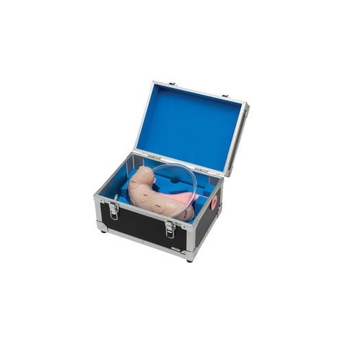 Anatomisches Magenmodell - LM-083 - KOKEN  - Speiseröhre / Epigastrium / Körper
