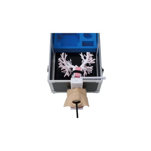 Trainingssimulator - LM-099 - KOKEN  - für Punktionen / für Ultraschalluntersuchungen / für Bronchoskopie