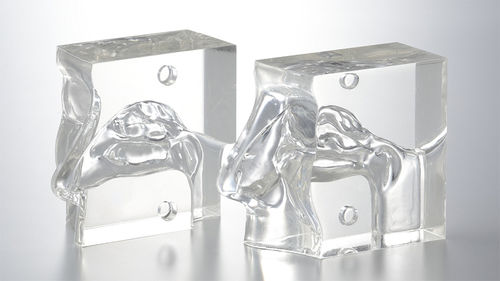 Anatomisches Modell / Nebenhöhle - LM-005 - KOKEN  - Nasen / für die Ausbildung / transparent