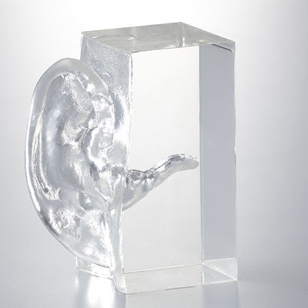 Anatomisches Modell / Gehörgang - LM-002 series - KOKEN  - für die Ausbildung / transparent