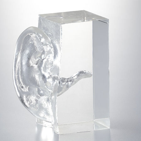 Anatomisches Modell / Nebenhöhle - LM-104 - KOKEN  - Larynx / für die Ausbildung / Schlucken