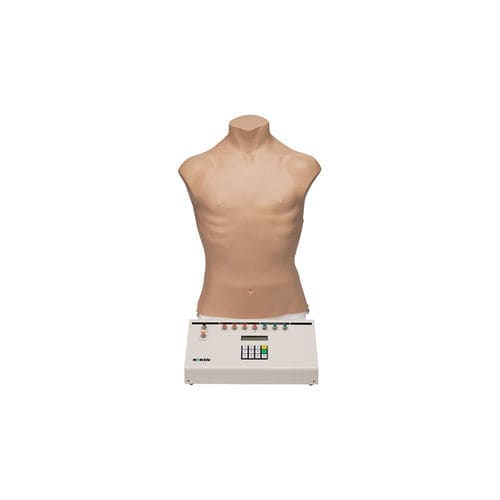 Trainingssimulator - LM-084 - KOKEN  - für Palpationen / für Auskultation / Atmung