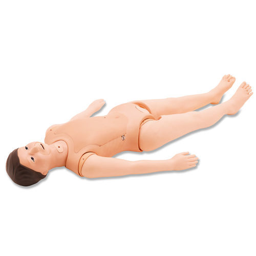 Trainingssimulator - M56A/B - Kyoto Kagaku  - für Katheterisierung / für Tracheotomie / Ernährung